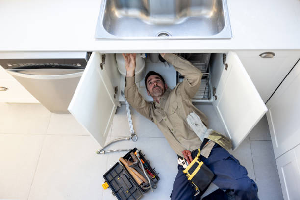 Best Local Plumber Services  in La Palma, CA